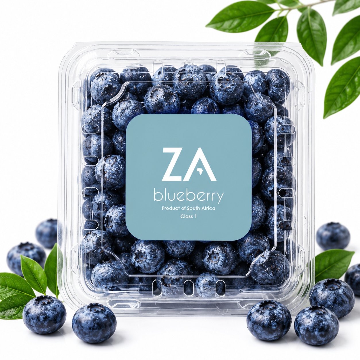 Premium ZABlueberry Punnet